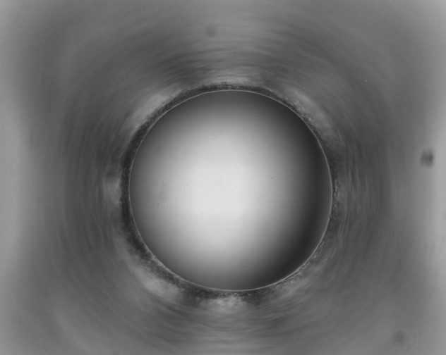 X0000091970112200709131347