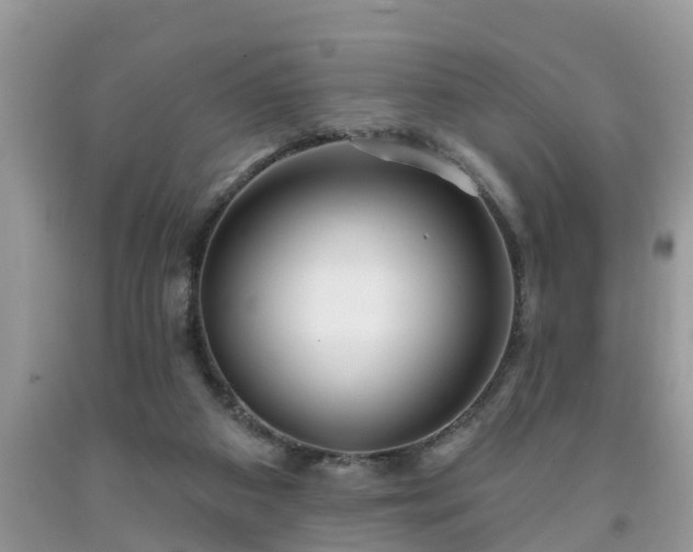 X0000091970113200709131347