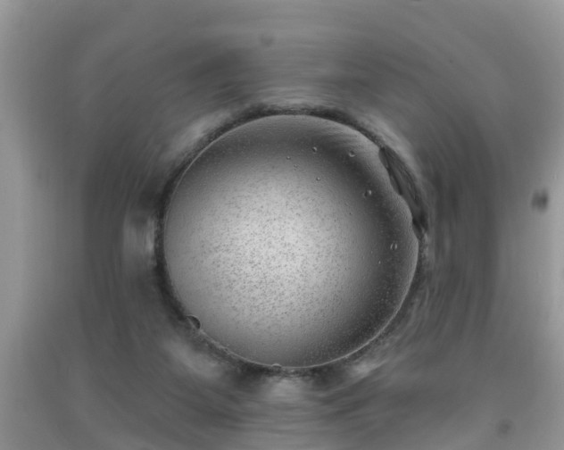 X0000091970115200709131347