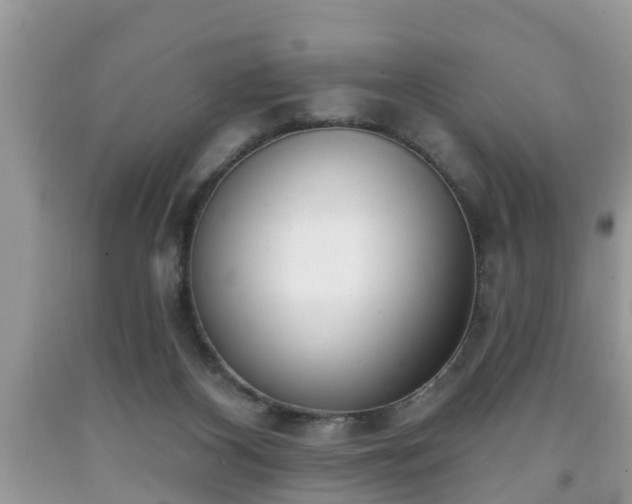 X0000091970116200709131347