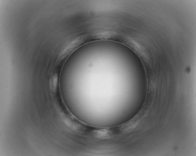 X0000091970118200709131347