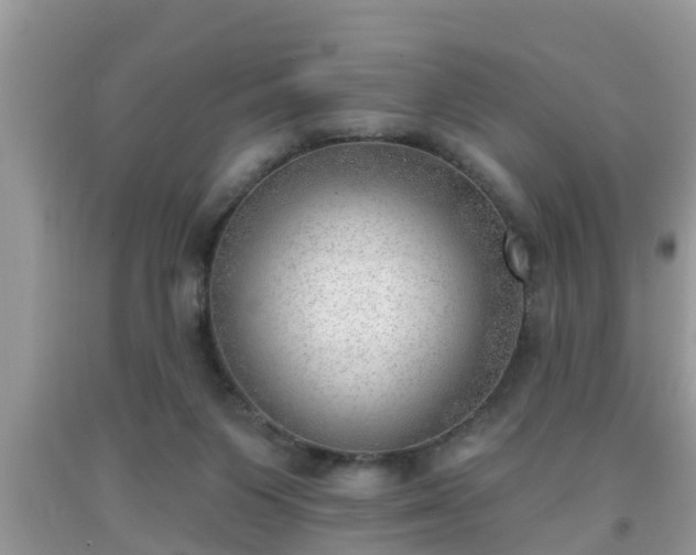 X0000091970119200709131347