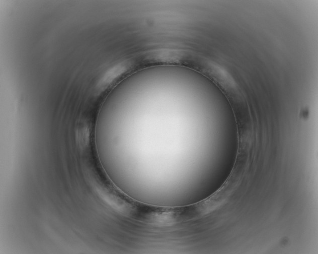 X0000091970120200709131347