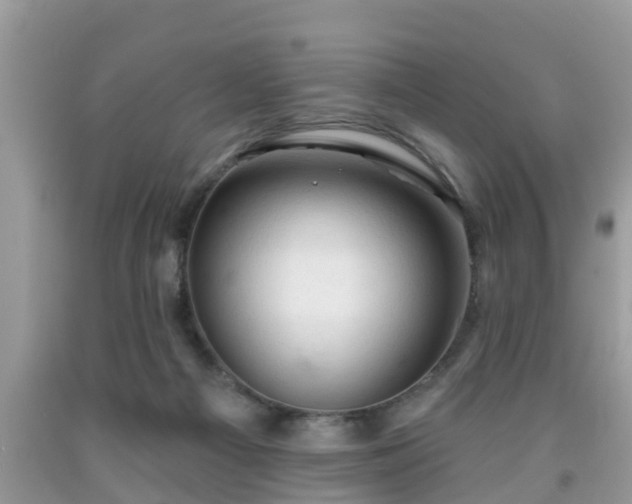 X0000091970121200709131347