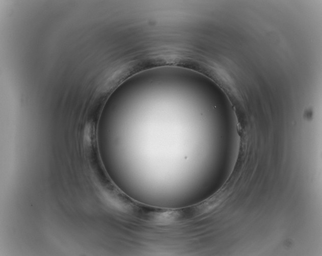 X0000091970122200709131347