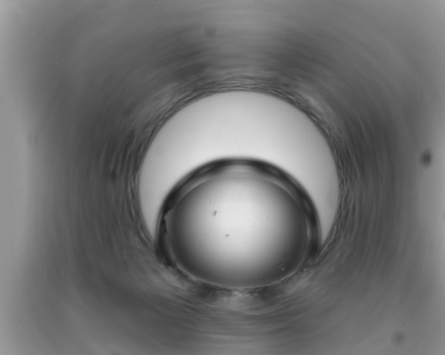 X0000091970125200709131347