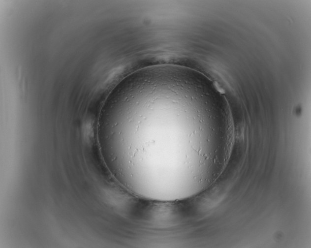 X0000091970127200709131346