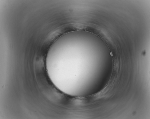X0000091970128200709131346