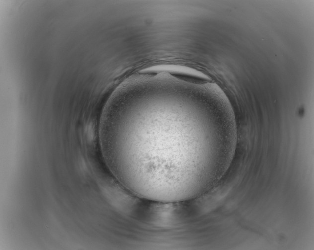 X0000091970131200709131346