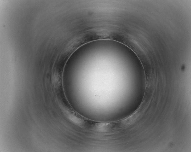 X0000091970136200709131346