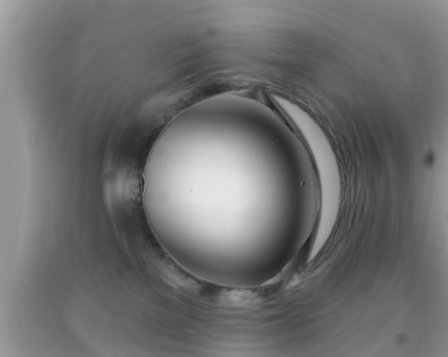 X0000091970137200709131346