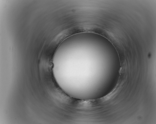 X0000091970140200709131346