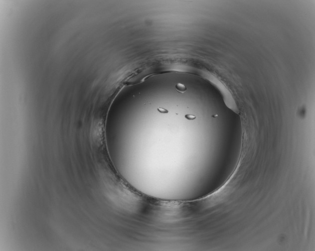 X0000091970144200709131346