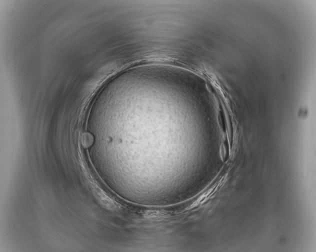 X0000091970145200709131346