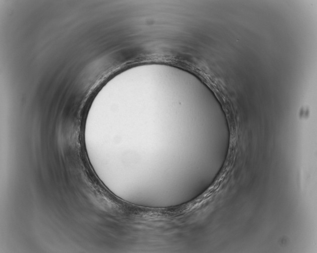 X0000091970146200709131346