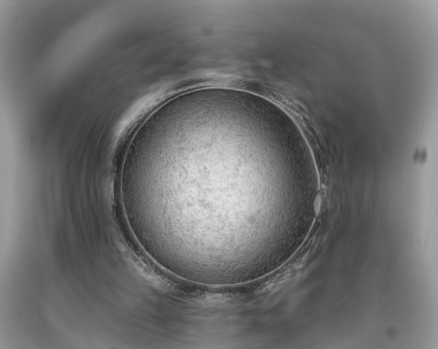 X0000091970149200709131346