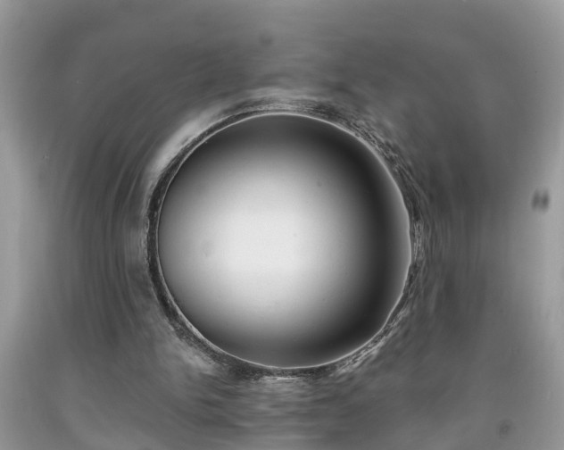 X0000091970150200709131346