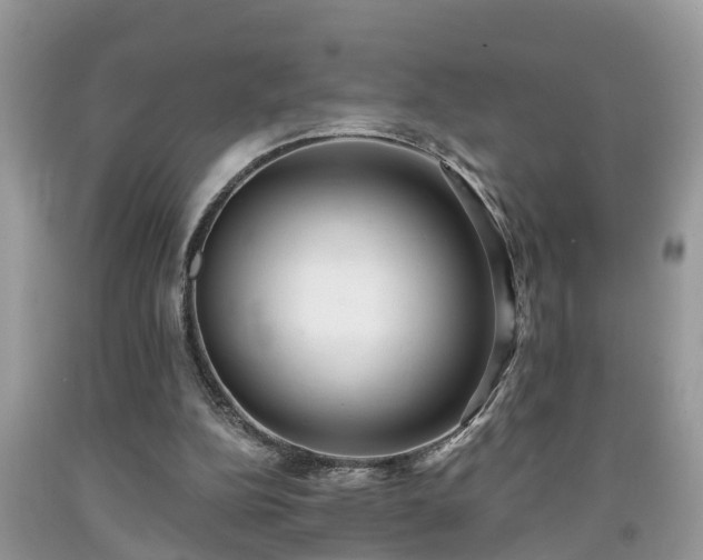X0000091970152200709131346