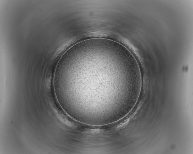 X0000091970153200709131346