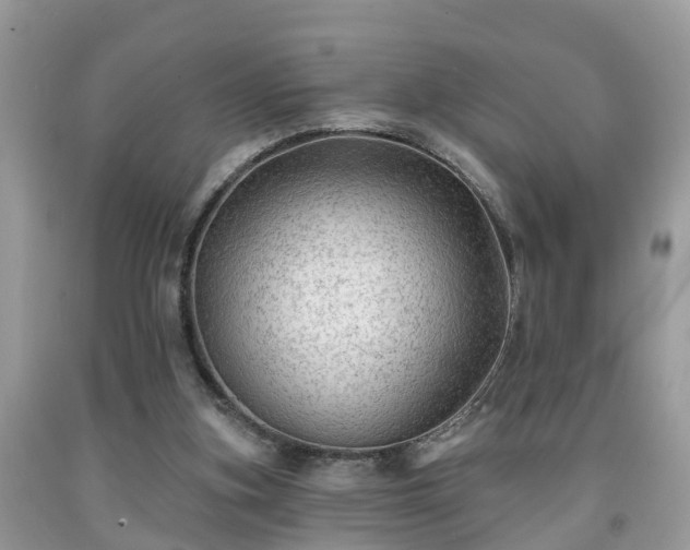 X0000091970155200709131346
