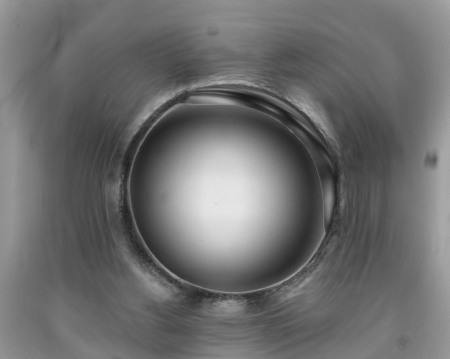 X0000091970156200709131346