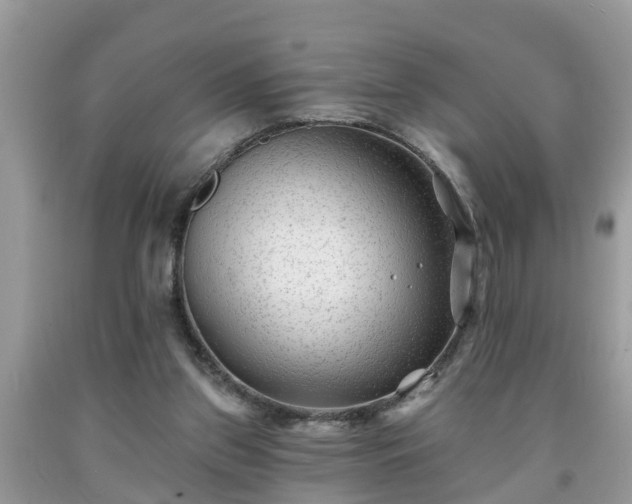 X0000091970157200709131346