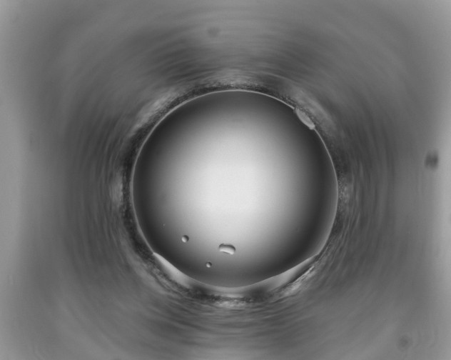 X0000091970158200709131346