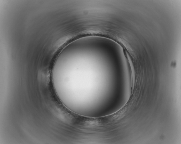 X0000091970160200709131346