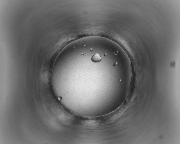 X0000091970161200709131346