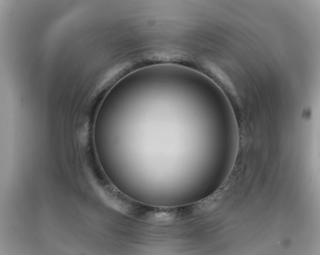 X0000091970163200709131346