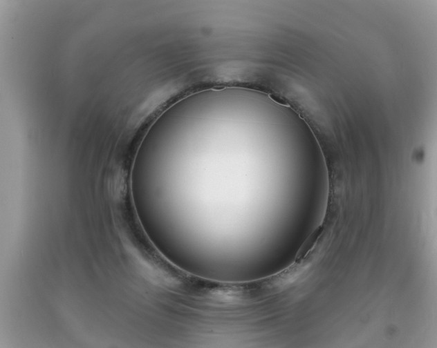 X0000091970164200709131346