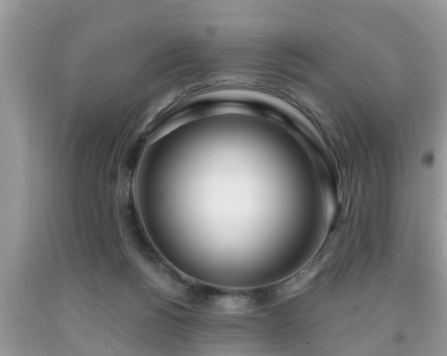 X0000091970168200709131346