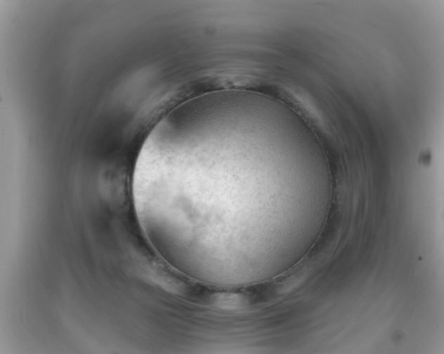 X0000091970169200709131346