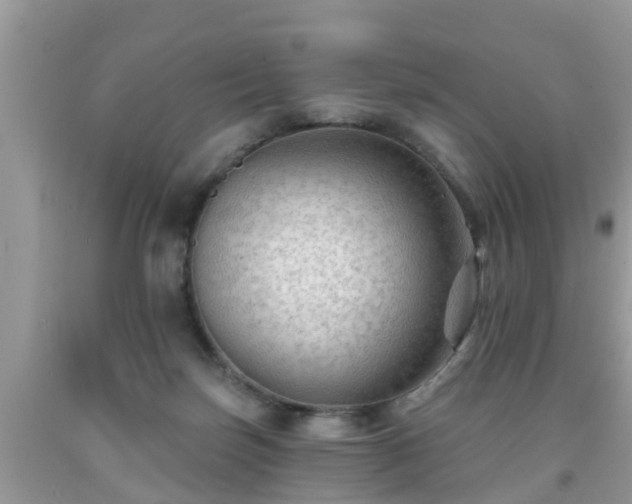 X0000091970171200709131346