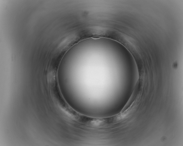 X0000091970172200709131346