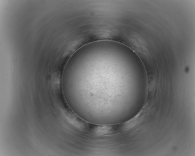X0000091970179200709131346