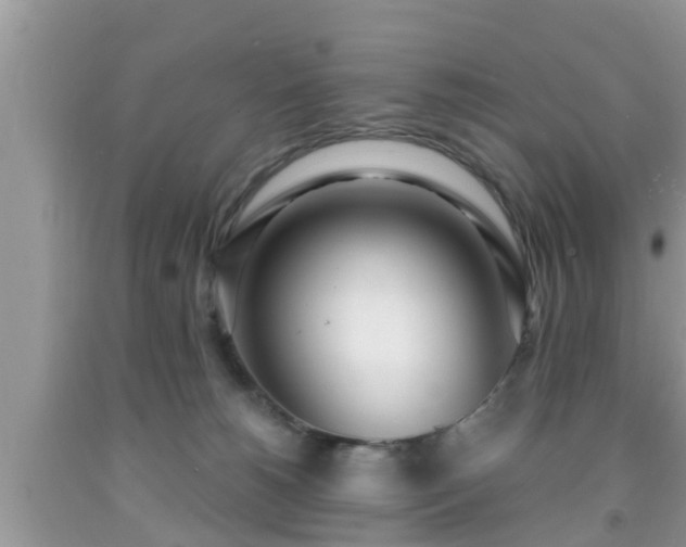 X0000091970180200709131346