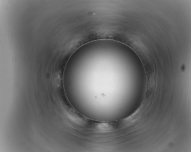 X0000091970183200709131346
