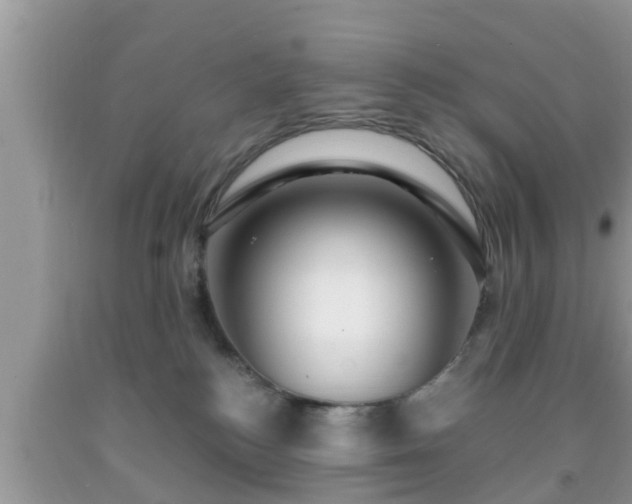X0000091970184200709131346