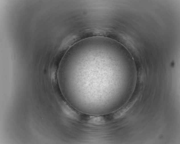 X0000091970185200709131346