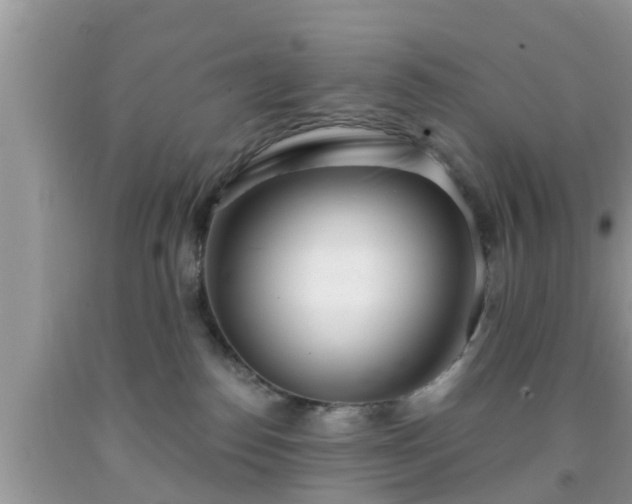 X0000091970186200709131346