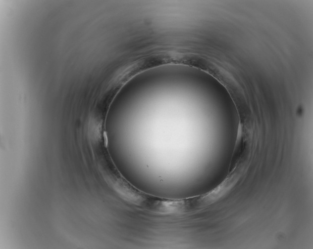 X0000091970188200709131346