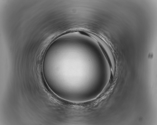X0000091970193200709131346