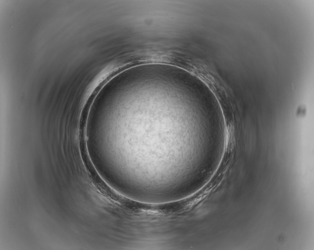 X0000091970195200709131346