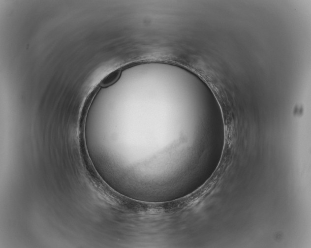 X0000091970196200709131346