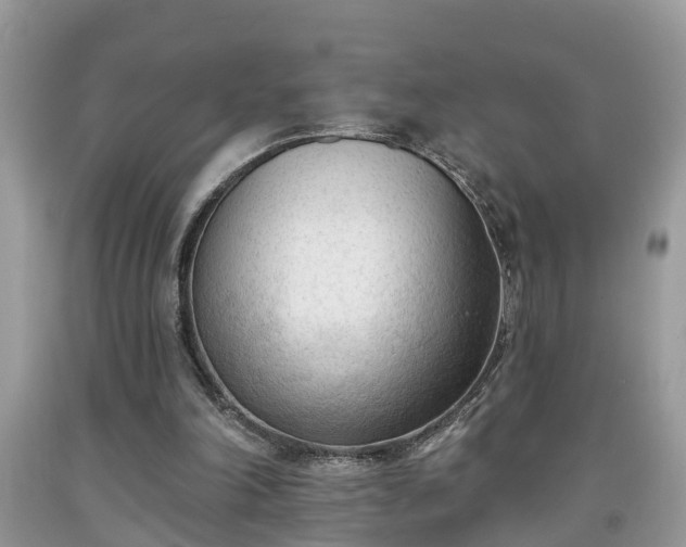 X0000091970198200709131346
