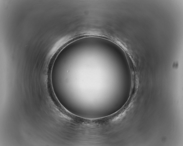 X0000091970199200709131346