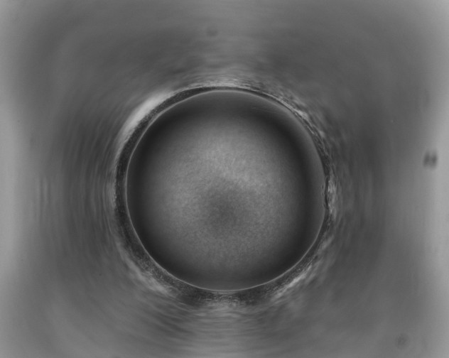 X0000091970200200709131346