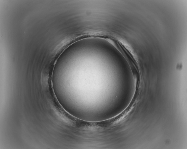 X0000091970201200709131346