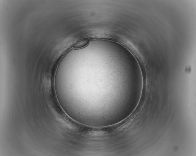 X0000091970202200709131346